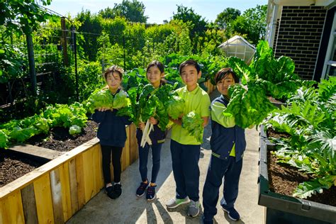 [TOMT][PC GAME] [2000s] Educational primary school farm .